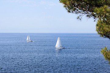 Fototapeta na wymiar lovely view in Punta, near Pula, Croatia