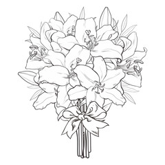 Vector hand drawn sketch illustration of monochrome bouquet white tulips flower with closed opened blossom leaves . Floral natural decoration background, backdrop element fabric textile design