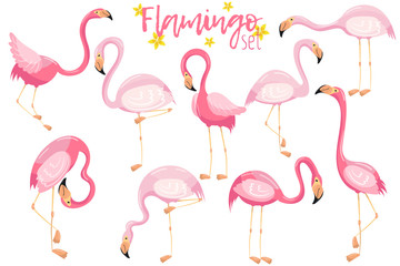 Schönes elegantes rosafarbenes Flamingos-Set, exotische tropische Vögel Vektor Illustrationen