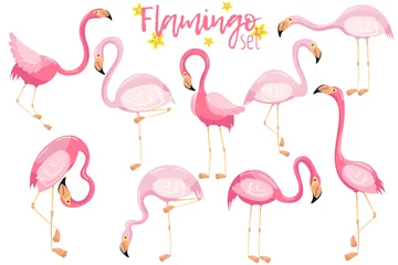 Fototapete Flamingo Schönes elegantes rosafarbenes Flamingos-Set, exotische tropische Vögel Vektor Illustrationen