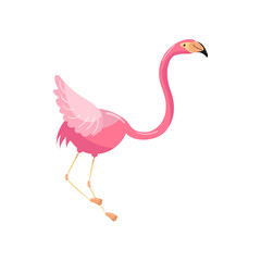 Beautiful elegant pink flamingo, exotic tropical bird vector Illustration
