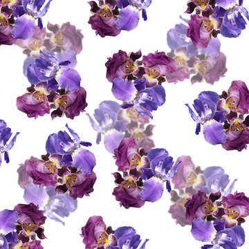 Beautiful floral background of purple and blue irises  