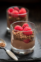 Chocolate dessert with raspberries