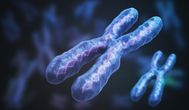 3D rendered illustration of chromosomes. Genetics concept.