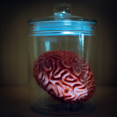 Gehirn im Glas