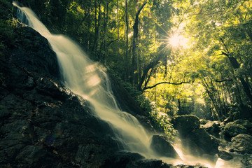 Kondalilla Falls in Kondalilla Falls National Park.