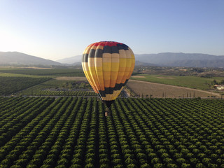 Hot air balloon in Temecula from above, vineyards in the background