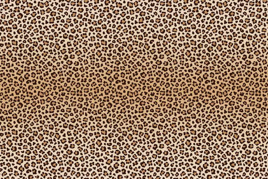 Background animal leopard texture. Vector