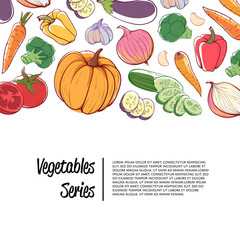 Fresh organic vegetables supermarket advertising. Carrot, pumpkin, cucumber, onion, pepper, tomato, eggplant, garlic vector illustration. Natural eco farming, healthy food, vegetarian nutrition poster