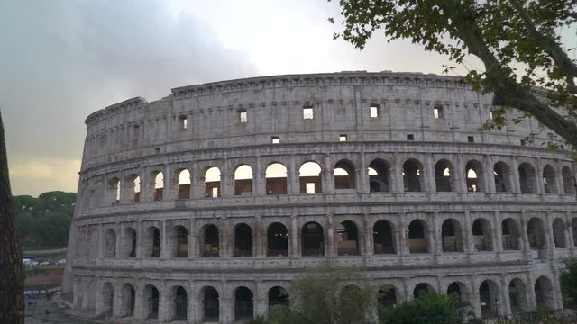 16499_The_big_tree_outside_the_Colosseum_in_Rome_in_Italy.mov