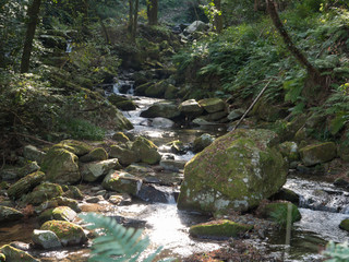 Stream with many rock in mountain in Fukuoka city, JAPAN.