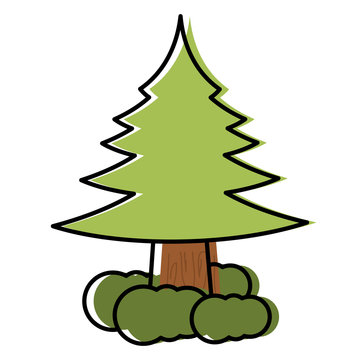 Pine tree icon image