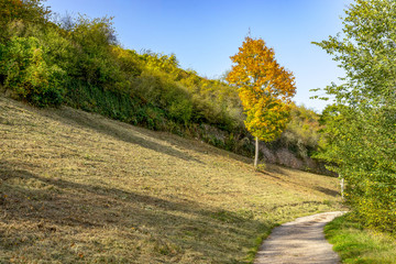 Fototapeta na wymiar Hiking trail in autumn near Bad Kreuznach City in Rhineland Palatinate, Germany