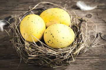Easter eggs in nest