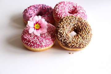 Set of Tasty donuts on white background.Top view.