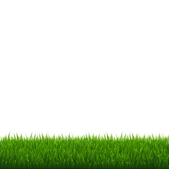 Green Grass Border Isolated