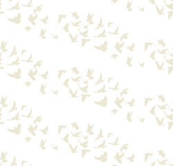 vector seamless background, silhouette flying birds