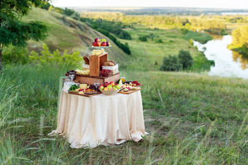 Buffet table with cheeses, fruits, berriesAnd wine. Summer picnic on nature