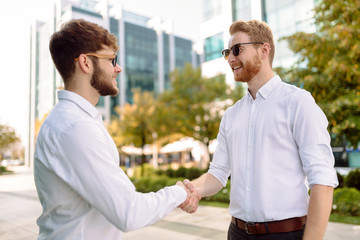 Fototapeta na wymiar Business people shaking hands