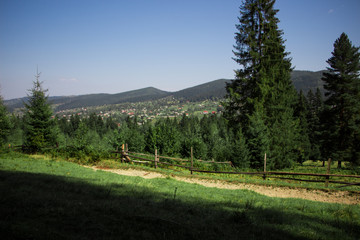 Fototapeta na wymiar Landscapes of the mountains and mountain forest. Carpathian mountains. Europe. Ukraine.