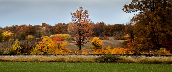 Color beside the railroad tracks
