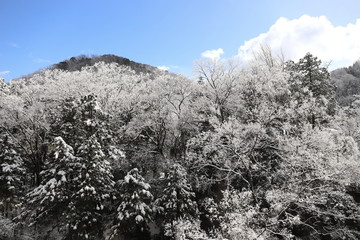 山中温泉　雪の鶴仙渓
