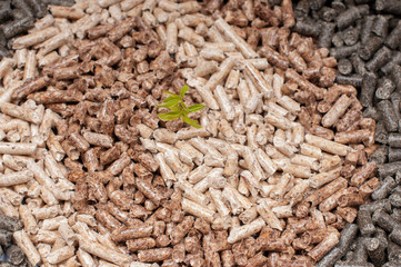 Three kind wooden biomass