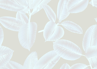 Seamless pattern, white Ficus Elastica leaves on light pink background