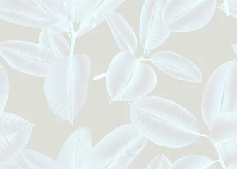 Foto op Canvas Seamless pattern, white Ficus Elastica leaves on light pink background © momosama