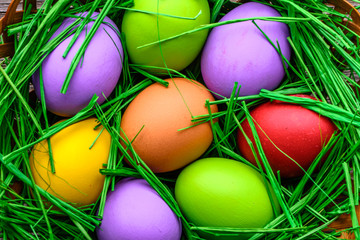 Colorful easter eggs, background with painted eggs in nest