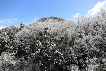山中温泉　雪の鶴仙渓