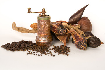 Still life of a copper pepper mill surrounded by coffee beans, cloves, black pepper and a bunch of...