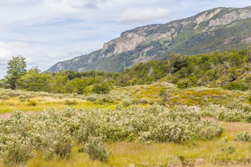Fototapeta na wymiar Trail, Forest and mountain, Tierra del Fuego National Park
