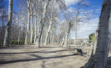 Gardens of the city of Aranjuez, located in Spain. Stone palace and beautiful autumn landscapes with beautiful fountains and mythological figures