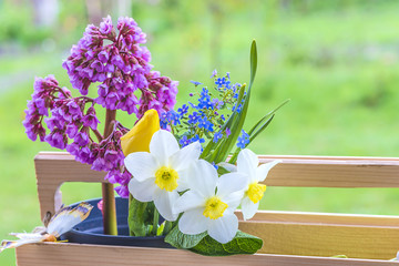 spring flowers in wooden box in the green garden