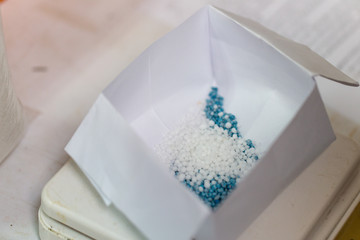   Culture chlorella for study in Lab.