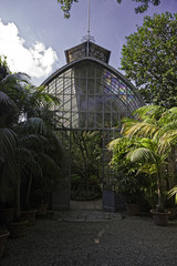 A greenhouse filled with tropical plants.