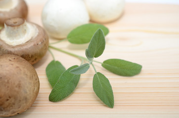 マッシュルーム