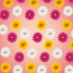 seamless pattern pink yellow and white daisies flower vector illustration