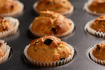 Homemade buckwheat muffins, gluten free, on wooden background.