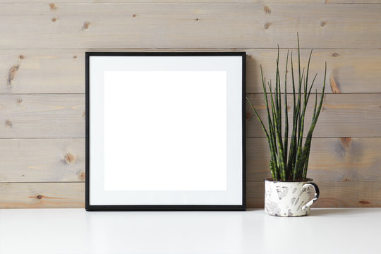 Closeup shot of desk, table or shelf with decorative plant and empty blank foursquare picture frame with white copy space for your photograph or advertising content. Photography, design and decoration