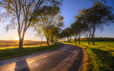 Country road on sunset time near Pannonhalma, Hungary