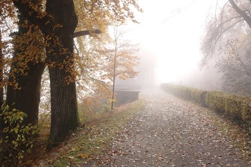 Herbstweg mit Nebel und Blätter am Boden