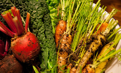 Detail of Freshly Pulled Vegetables