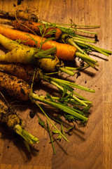 Freshly Pulled Carrots