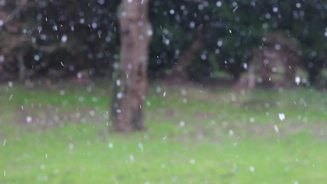 neige qui tombe sur l'herbe