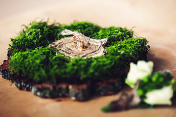 wedding rings on a wooden stand with moss