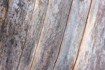 Naklejka premium Wood detailed texture background