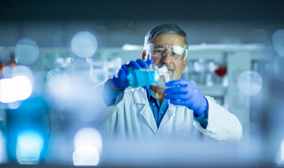 Senior male researcher carrying out scientific research in a lab (shallow DOF; color toned image) - obrazy, fototapety, plakaty