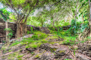 Die Cenote Chihuo-Hol